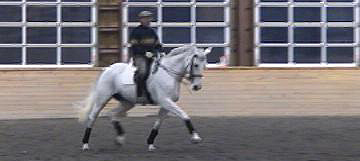 Ron rides Ileana